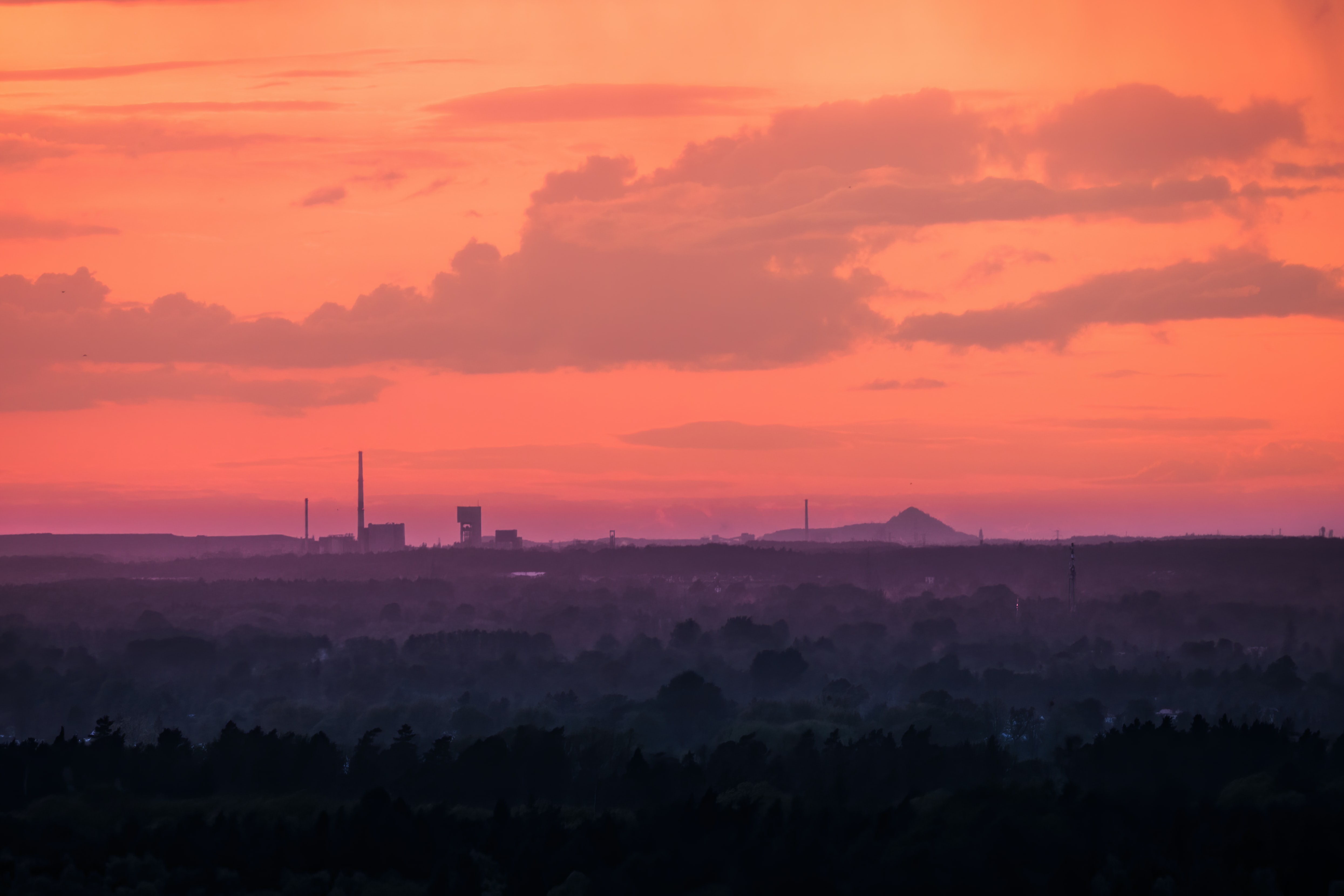 forest-factory.jpg