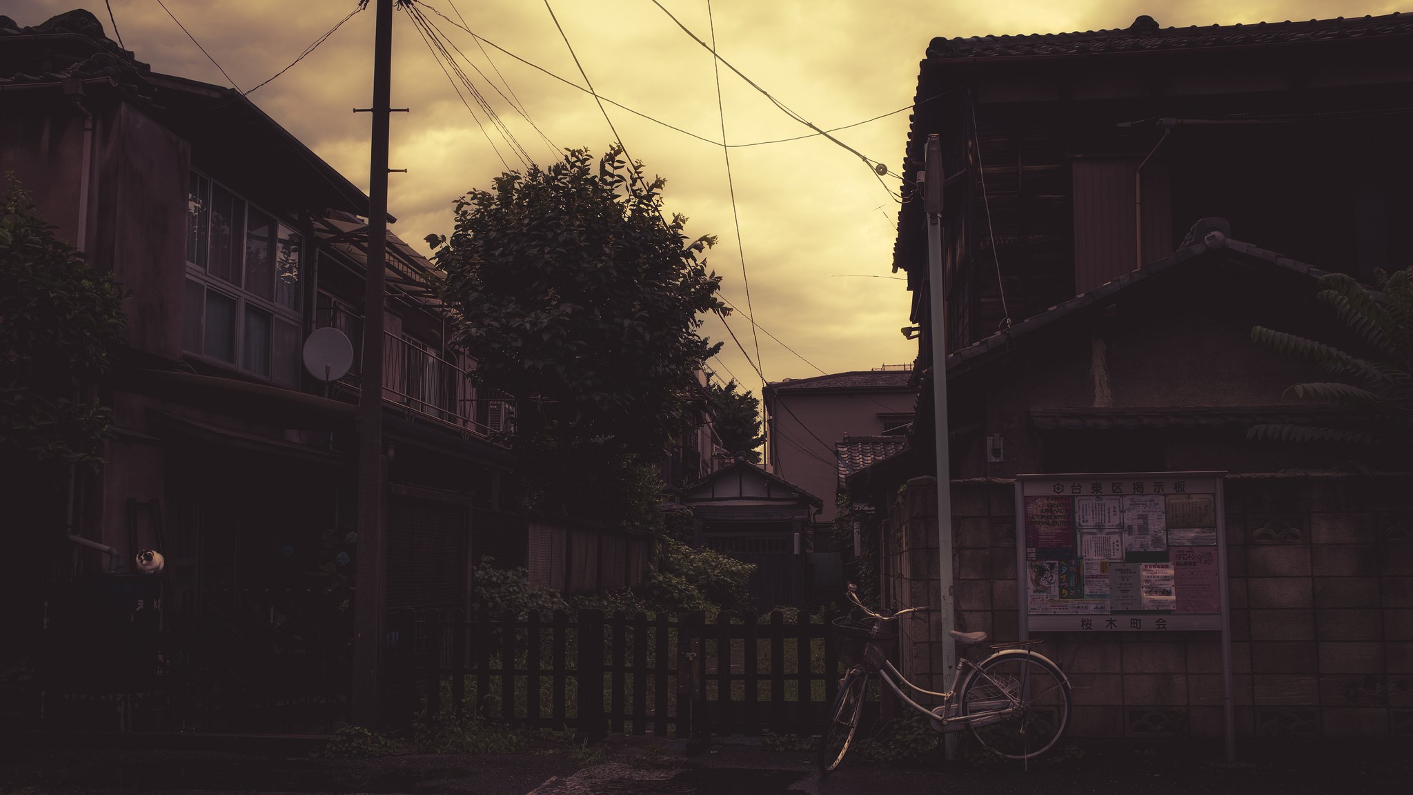 lonely-bicycle.jpg