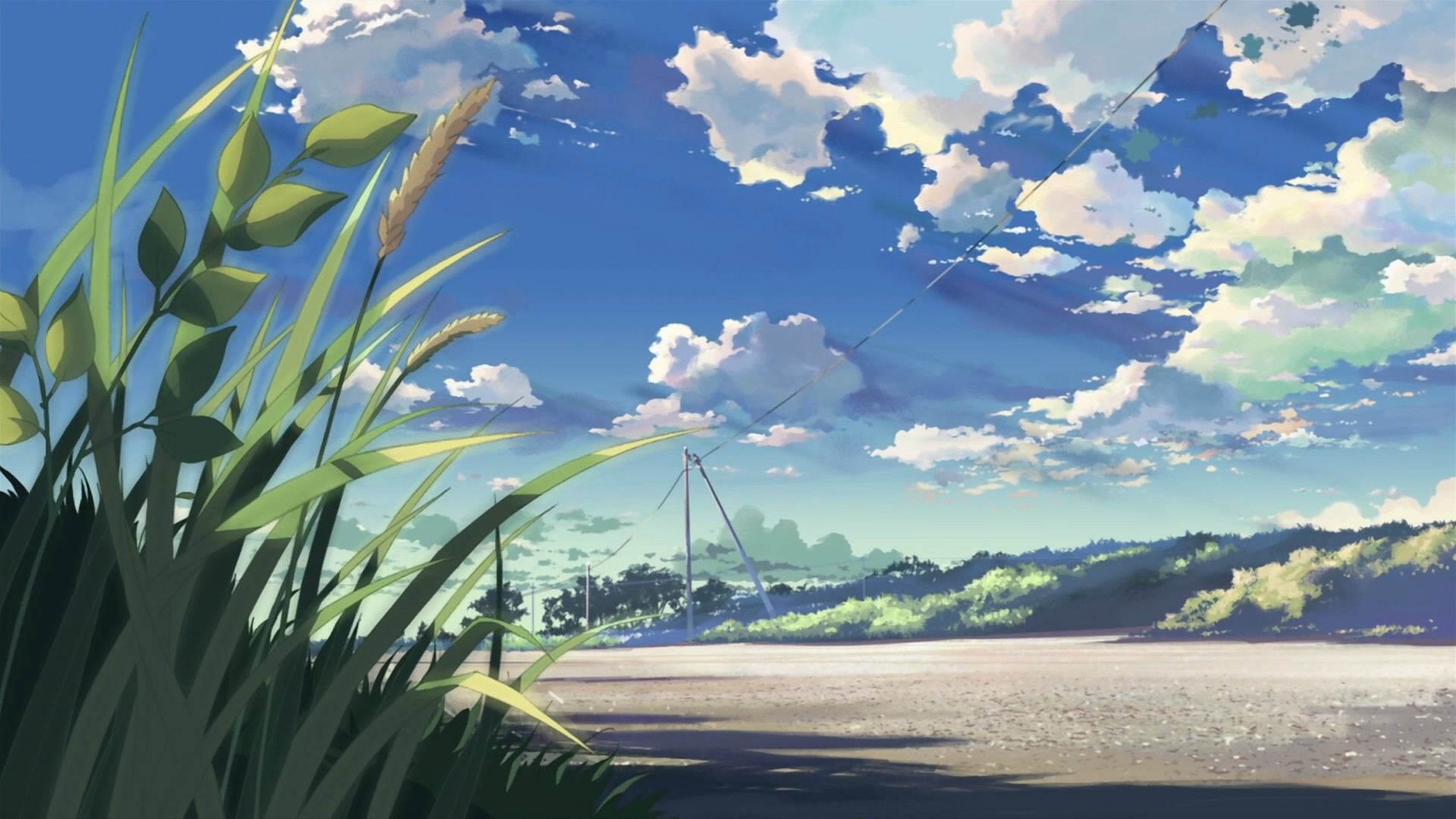 powerline-beach.jpg