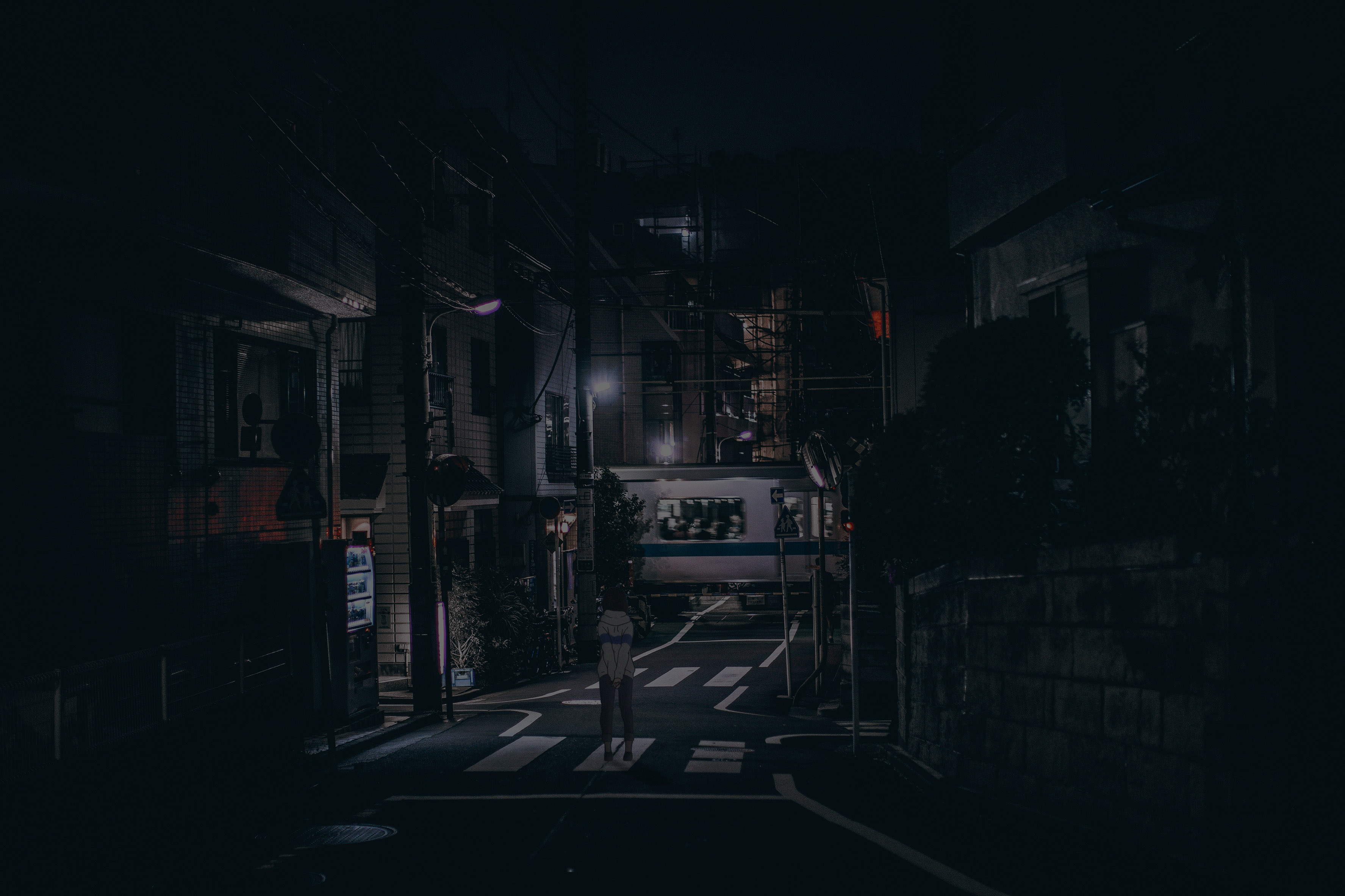 the-path-t_oo_r_oo.webp