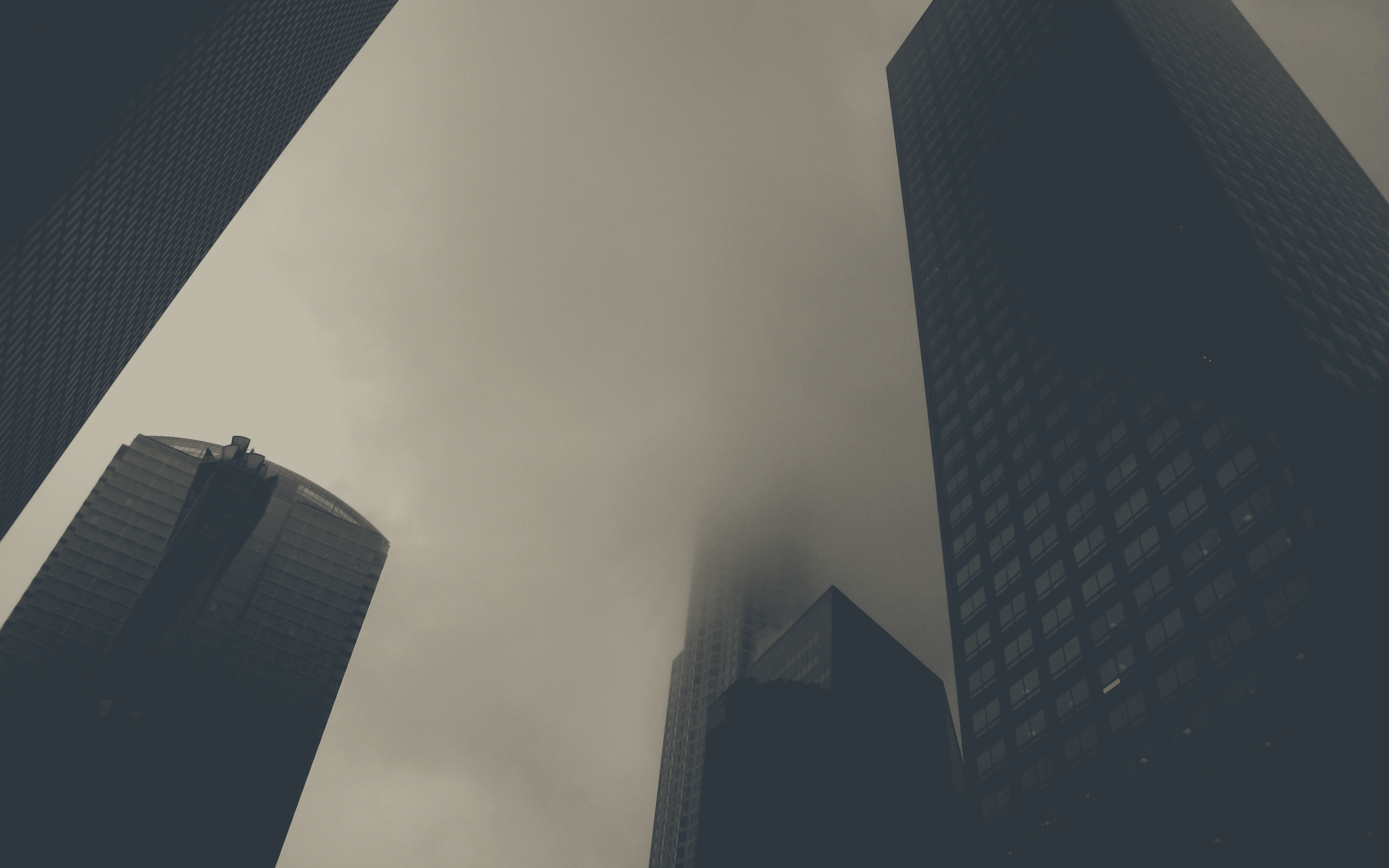 they-tower-over-you.webp