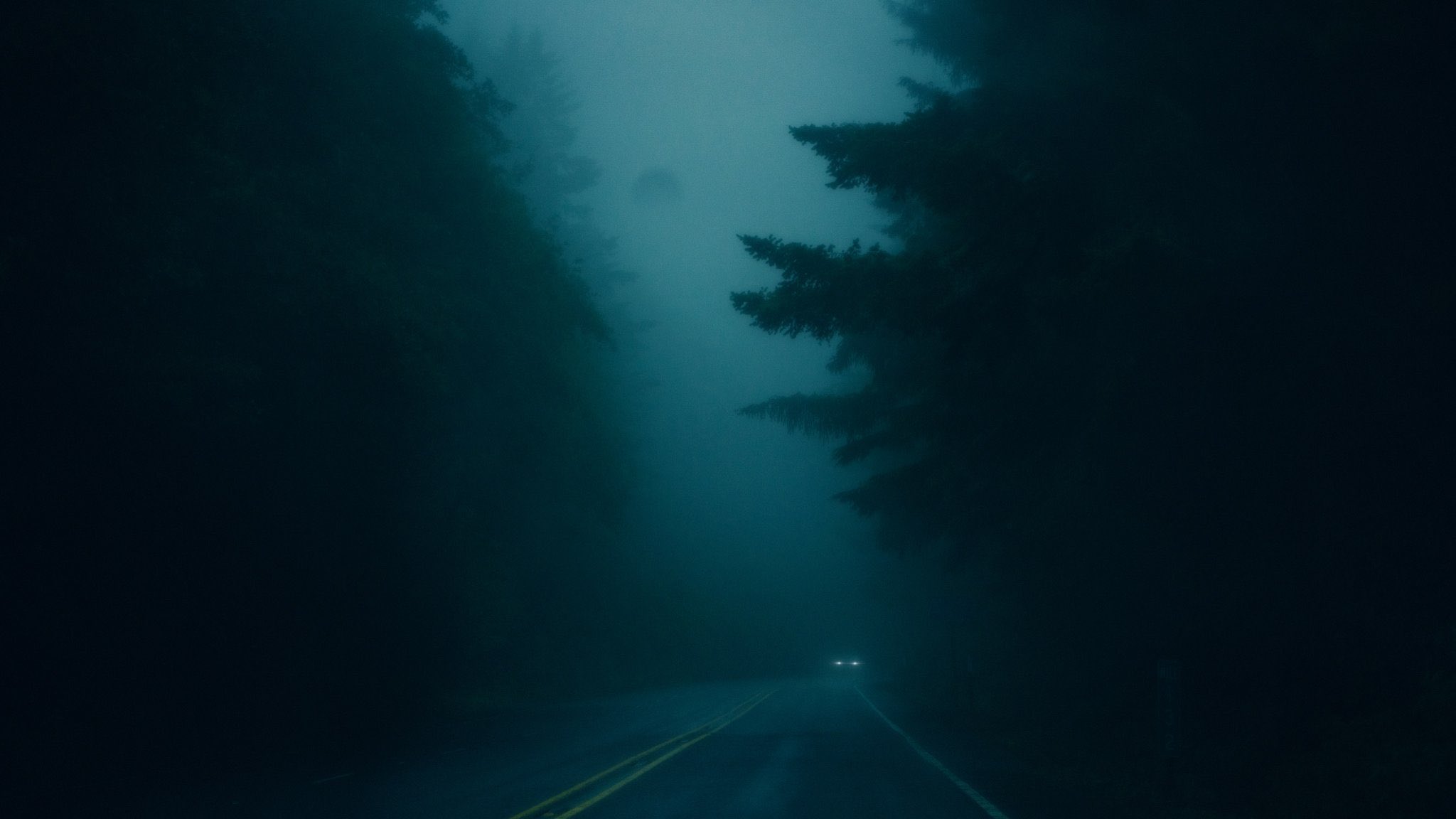 foggy-forest-road.jpg