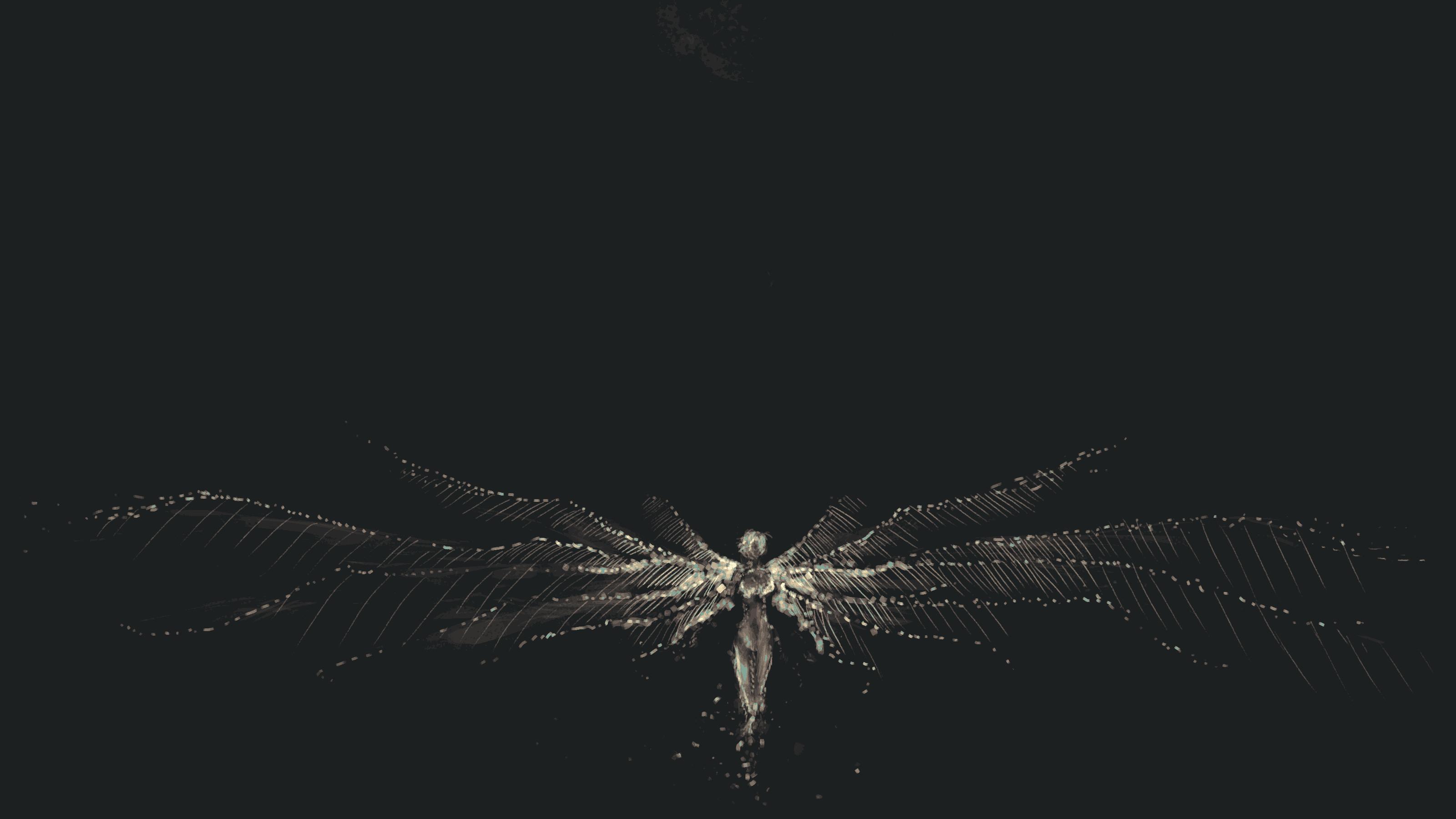moth-fairy.jpg