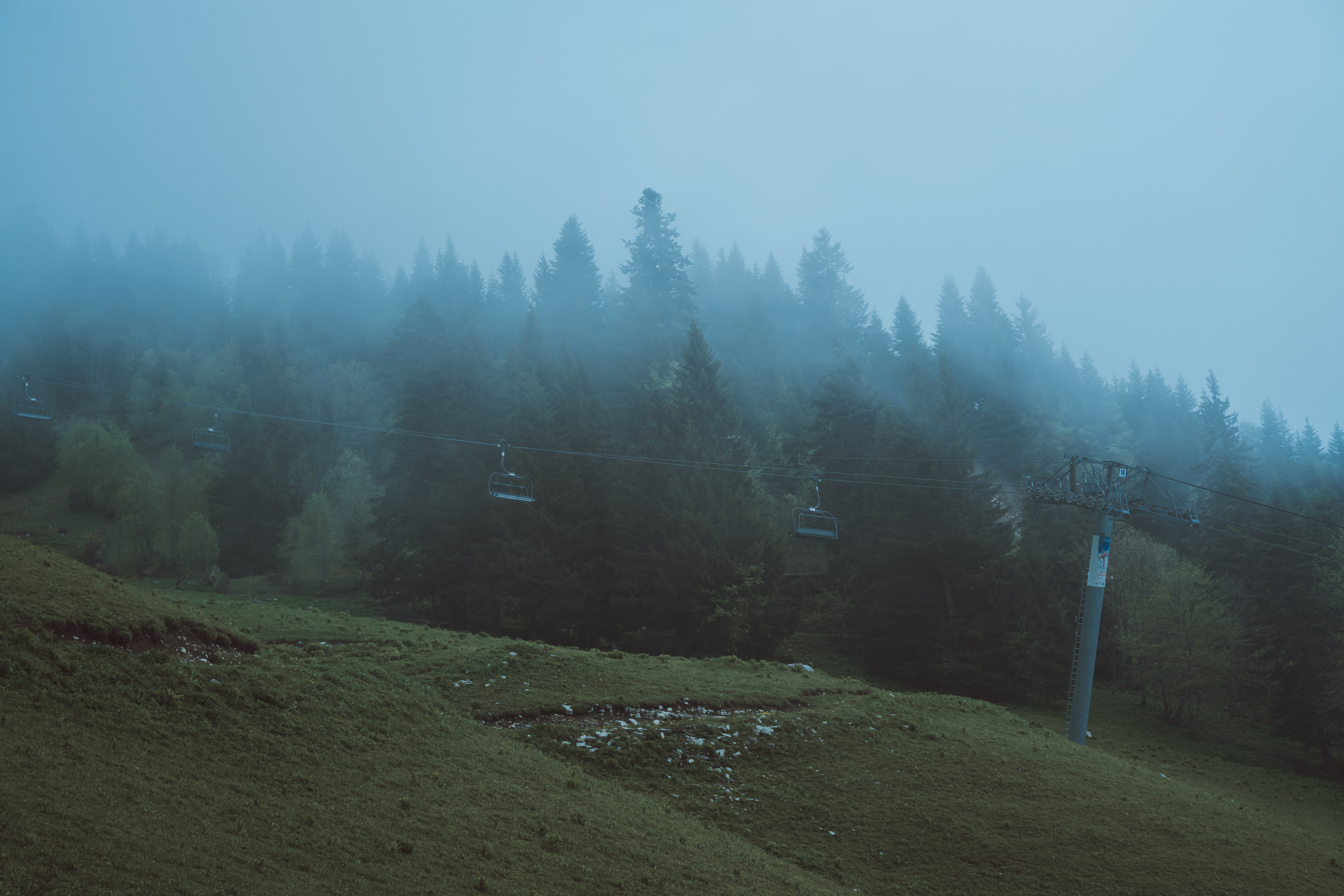 chairlift-forest.jpg