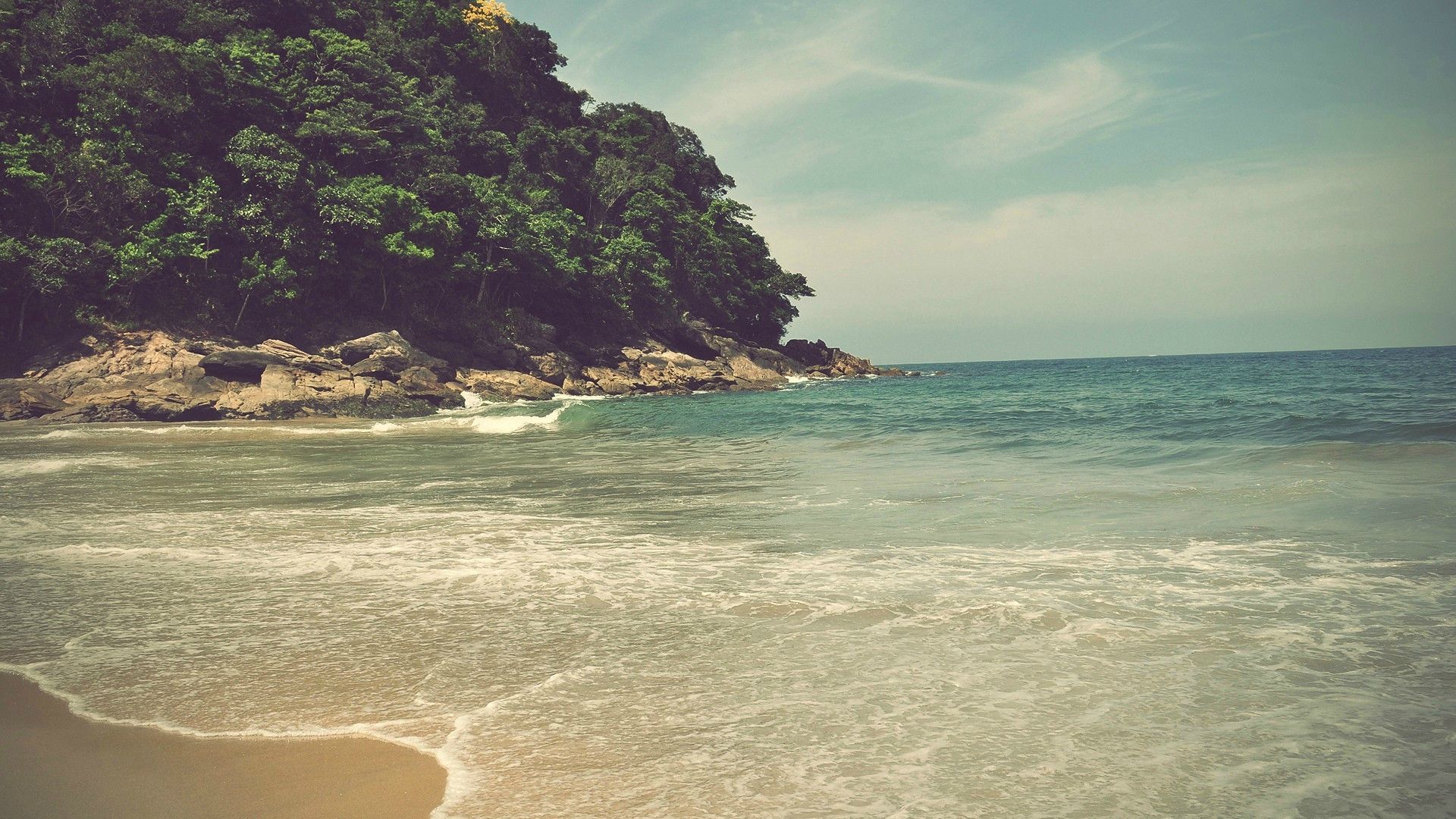 forest-beach-photo.jpg