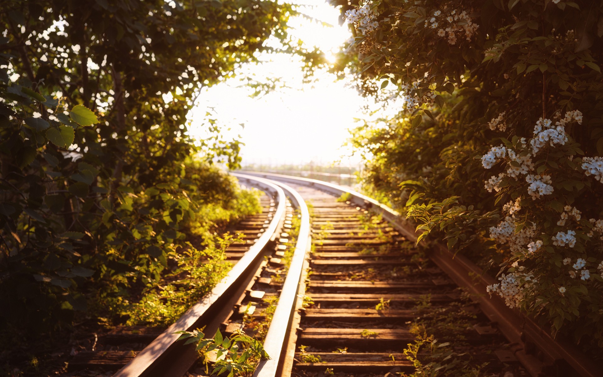 railroad-flowers.jpg
