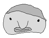 the greatest drawing of a blobfish in the world